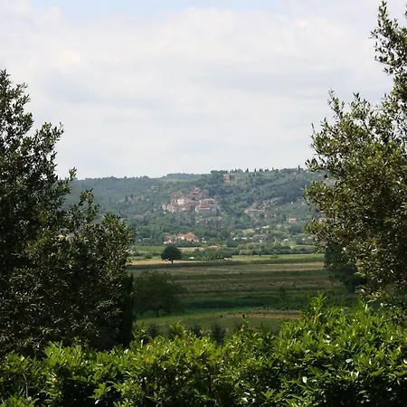 La Contea * Lucignano